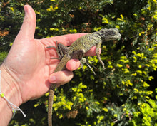 Load image into Gallery viewer, Small Sailfin Dragon (5)