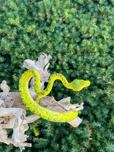 Juvenile Biak Green Tree Python (5)