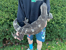 Load image into Gallery viewer, Adult Black Throat Monitor (Male)