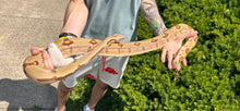 Load image into Gallery viewer, Adult Pastel Dream Monster-Tail Hypo Jungle het VPI T+ Boa Constrictor (Male)