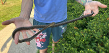 Load image into Gallery viewer, Juvenile Greater Keeled Ratsnake