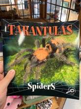 Load image into Gallery viewer, Reptile Book