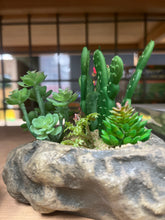 Load image into Gallery viewer, Pangea Succulent Garden