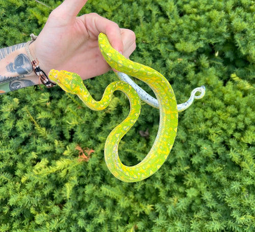 Green Tree Pythons – Scales and Tails of Ohio