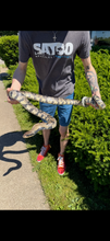 Load image into Gallery viewer, Adult False Water Cobra (Female)