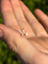 Load image into Gallery viewer, Orchid Mantis