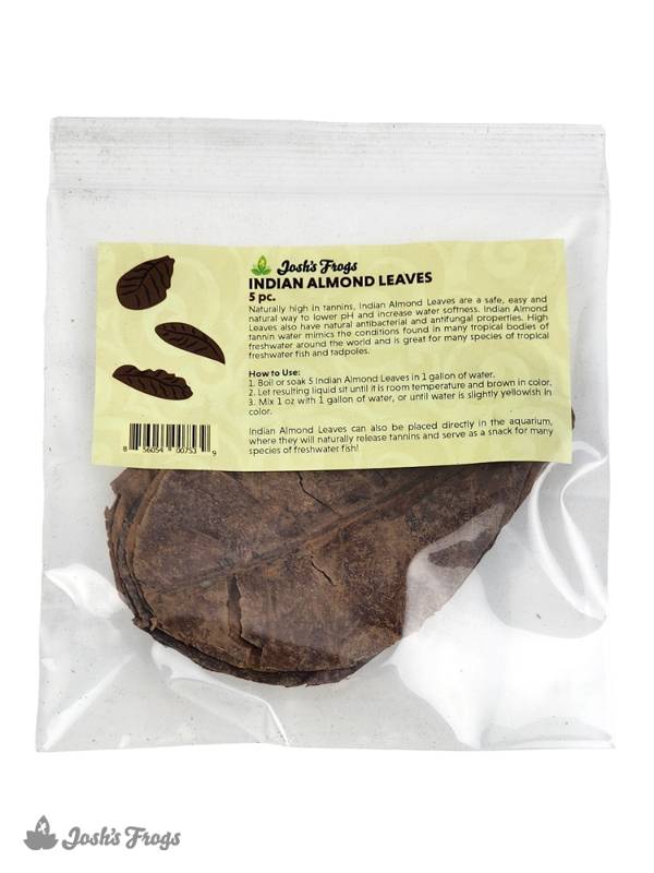 Indian Almond Leaves
