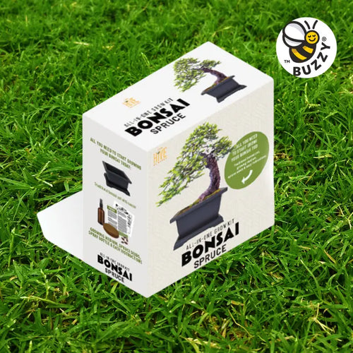 Bonsai Tree Grow Kit