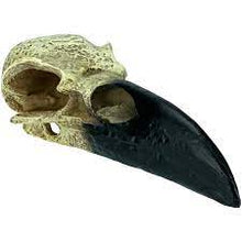 Load image into Gallery viewer, Raven Skull