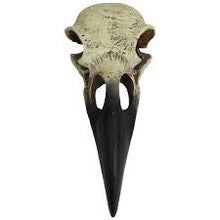 Load image into Gallery viewer, Raven Skull