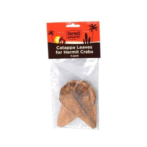 Catappa Leaves (hermit crabs)