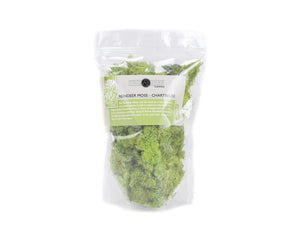 Reindeer Moss - Chartreuse 1QT