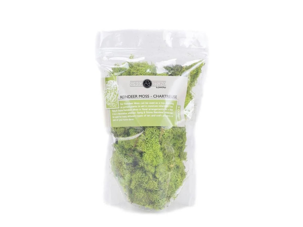 Reindeer Moss - Chartreuse 1QT