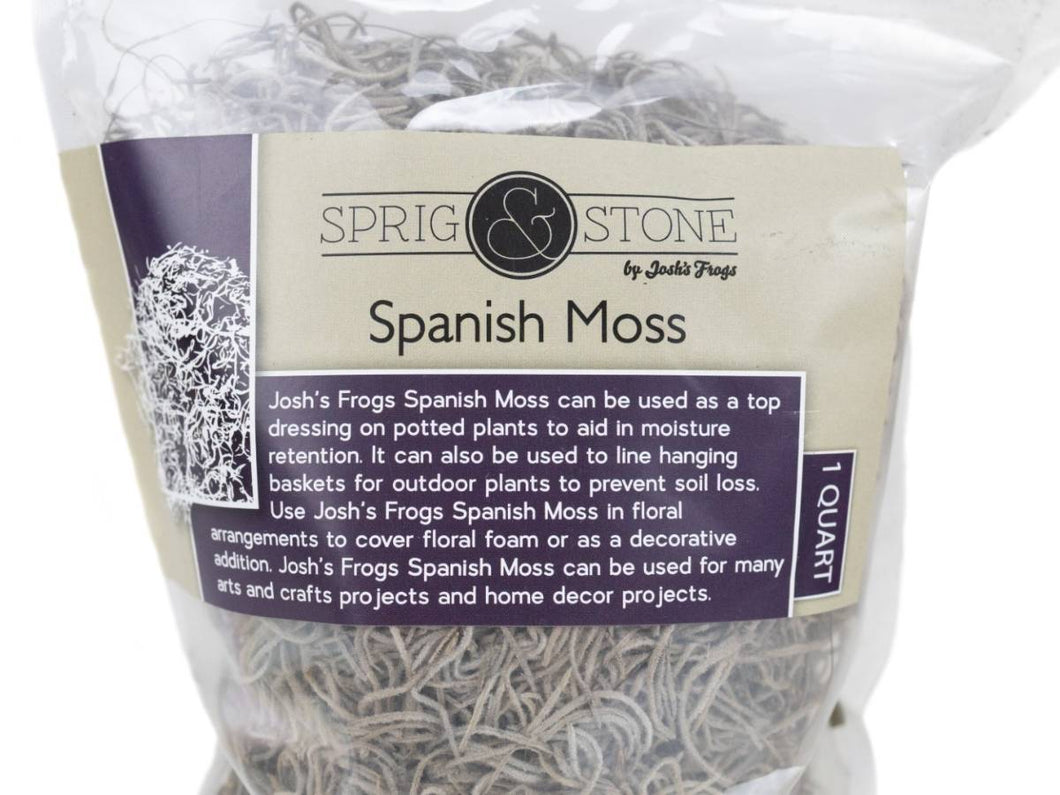 Josh's Frog Spanish Moss
