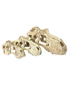 Komodo T-Rex Skull