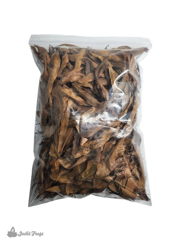Willow Oak Leaf Litter