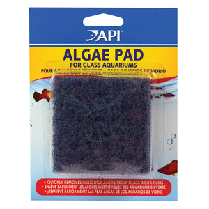 API Algae Scraper Pad