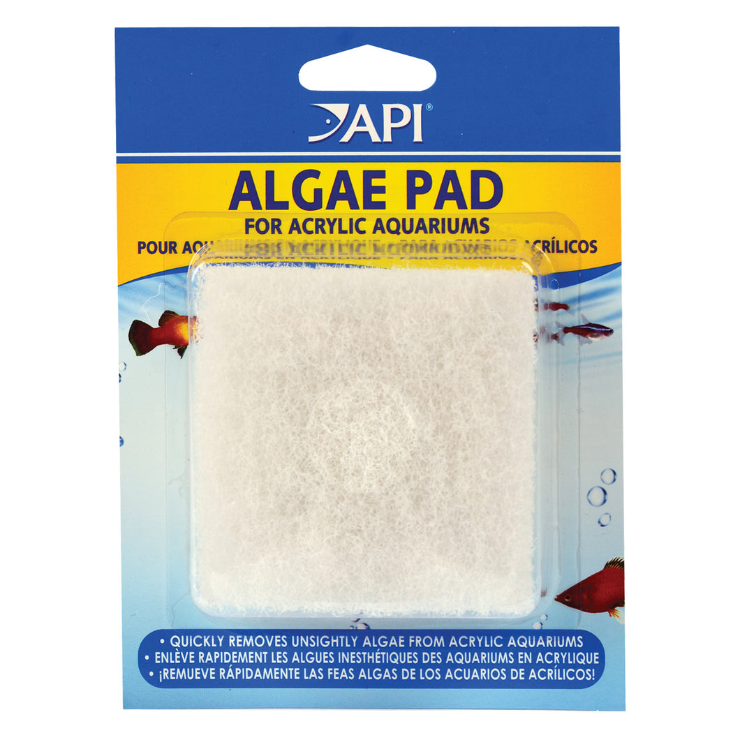 API Algae Scraper Pad