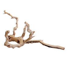 Load image into Gallery viewer, ZOO MED Premium Sand Blasted Grapevine