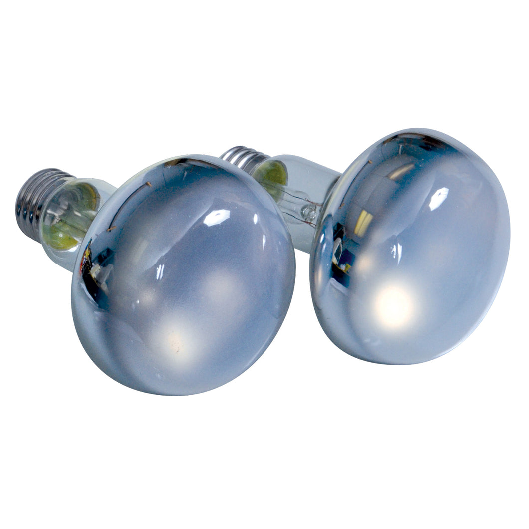 ZOO MED Repti Basking Spot Lamp - 2 pack