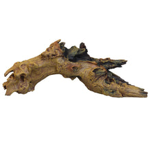 Load image into Gallery viewer, Underwater Treasures Driftwood