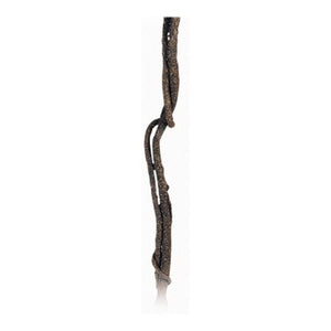 EXO TERRA Jungle Vine