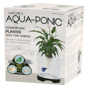 aqua box fish tank Aquaponic Betta Tank – Scales and Tails of Ohio