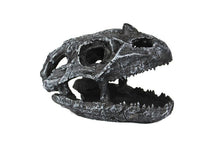 Load image into Gallery viewer, Pangea Dinosaur Skull Cave