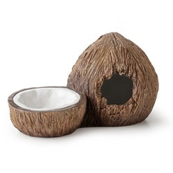 Exo Terra's Coconut Hide
