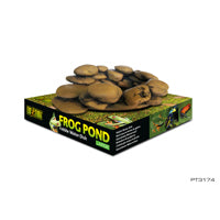 Load image into Gallery viewer, Frog Pond