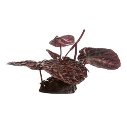 Fluval Red Lotus Decorative Plant with Base