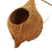 Load image into Gallery viewer, Pangea Hanging Coconut Reptile Hide