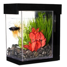 Load image into Gallery viewer, Marina Betta Style Aquarium - Black - 3.7 L (1 US gal)- In Store Pick-Up Only