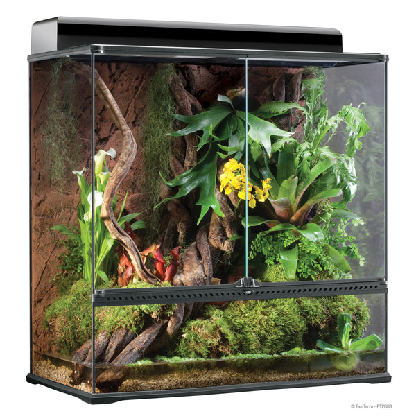 Natural Terrarium Small X-Tall