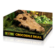 Load image into Gallery viewer, Exo Terra Crocodile Skull