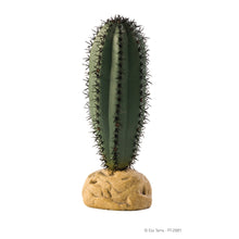 Load image into Gallery viewer, Exo Terra Desert Plants
