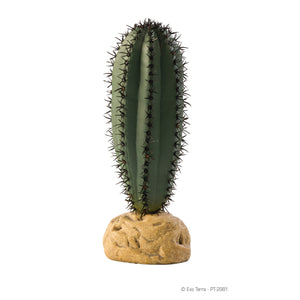 Exo Terra Desert Plants
