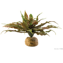 Load image into Gallery viewer, Exo Terra Desert Plants