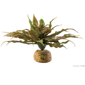 Exo Terra Desert Plants