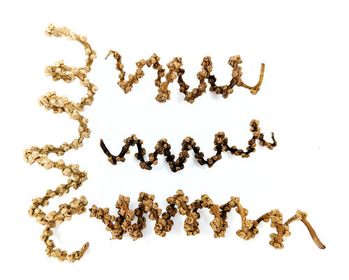 Palm Finger Tail Spring