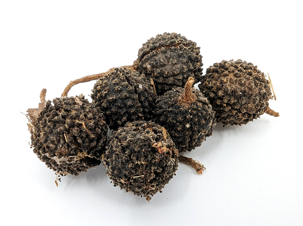 Mutamba Pods