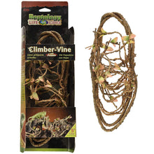 Load image into Gallery viewer, Reptology Climber Vines