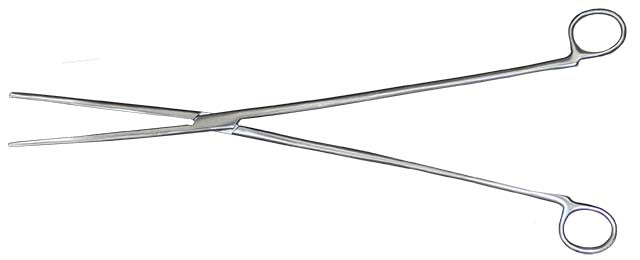 Hemostat Scissors – Scales and Tails of Ohio