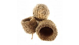White Oak Acorn Caps (Includes 5 Caps)